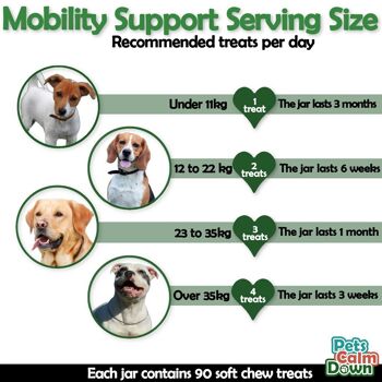 Supplément Mobility pour chiens pour la santé des hanches et des articulations 7