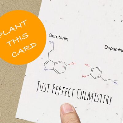 Perfect Chemistry