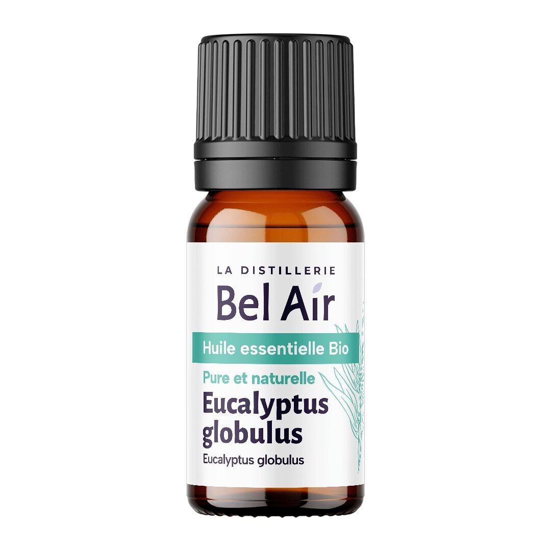 Eucalyptus globulus - Olio essenziale biologico - 10ml - unità