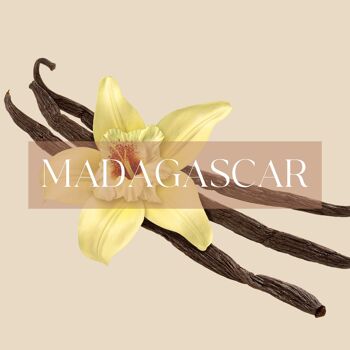 MADAGASCAR | Bougie Vanille 2