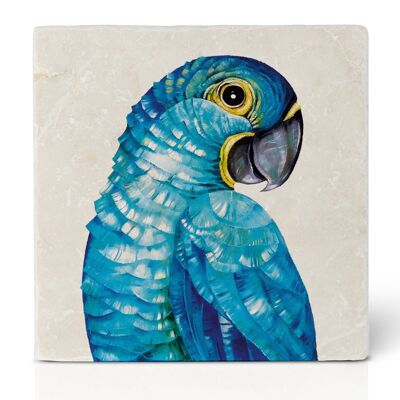 Tile Coaster [Natural Stone] - Hyacinth Macaw