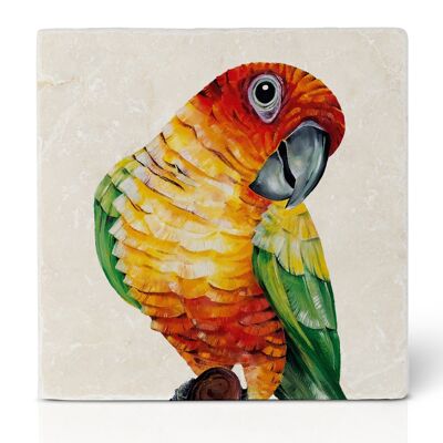 Tile coaster [natural stone] - Sun Conure