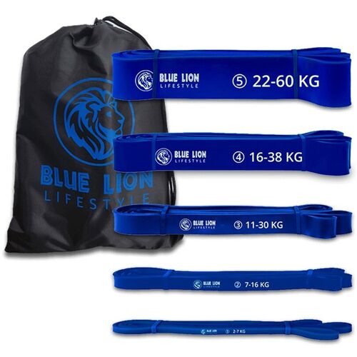 Blue Lion Powerband set - Fitness Weerstandsbanden set met 5 verschillende weerstanden - Resistance band set van 2 tot 60 KG - Met opbergtas