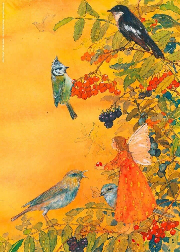 Art print elves and birds