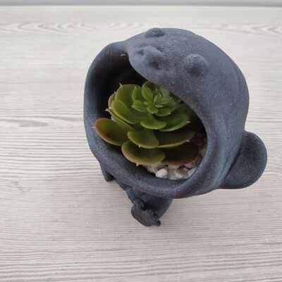 Bighead Monkey Pot