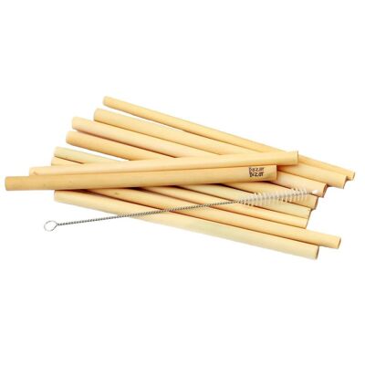 Pajitas de bambú - Juego de 10 con cepillo de limpieza