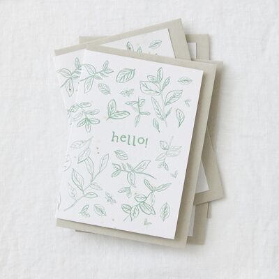 ¡Hola! Juego de 4 tarjetas con semillas de albahaca