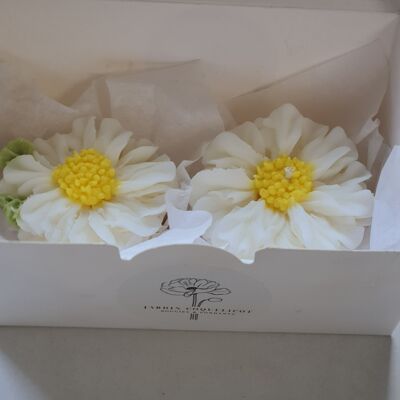 Duo Anthemis Candle and Fondant