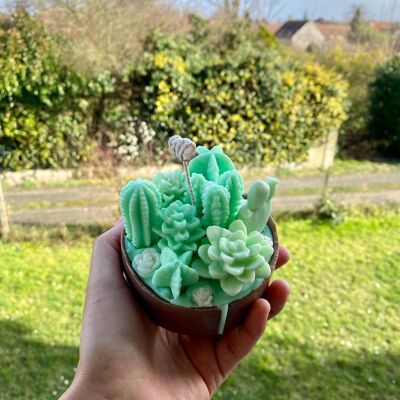 Vela para terrario de suculentas y cactus