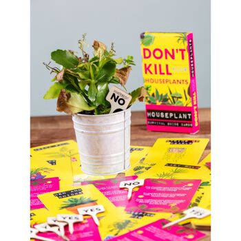 Ne tuez pas vos plantes d'intérieur 3