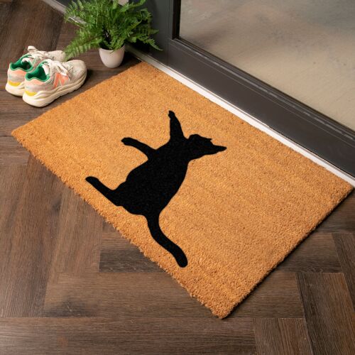 Cat Country Size Coir Doormat