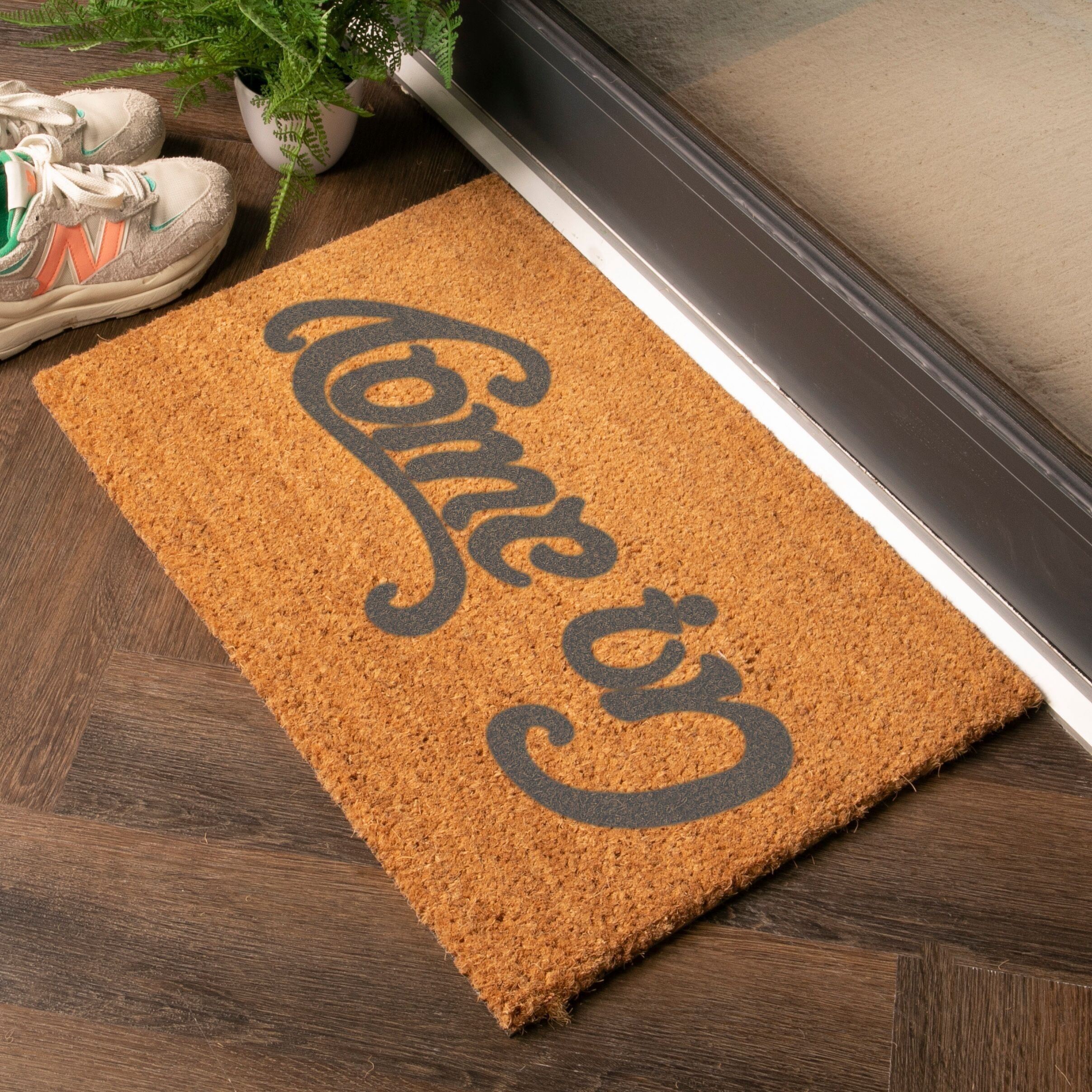 Grigio Entra, vai via Zerbino