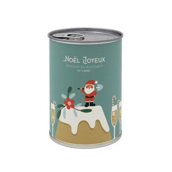 Kit à semer "Noël Joyeux (gâteau)" Fabriqué en France 4