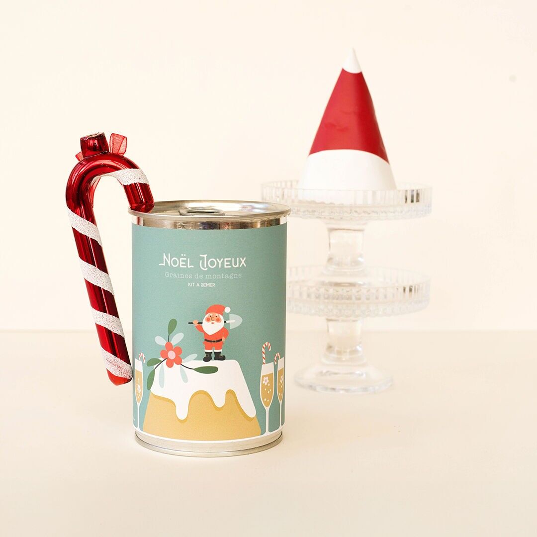 Kit de siembra "Feliz Navidad (pastel)" Hecho en Francia