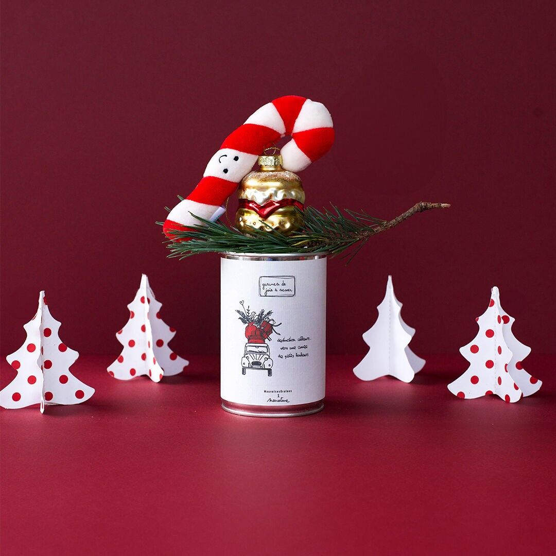 Sowing kit "Destination elsewhere" Made in France