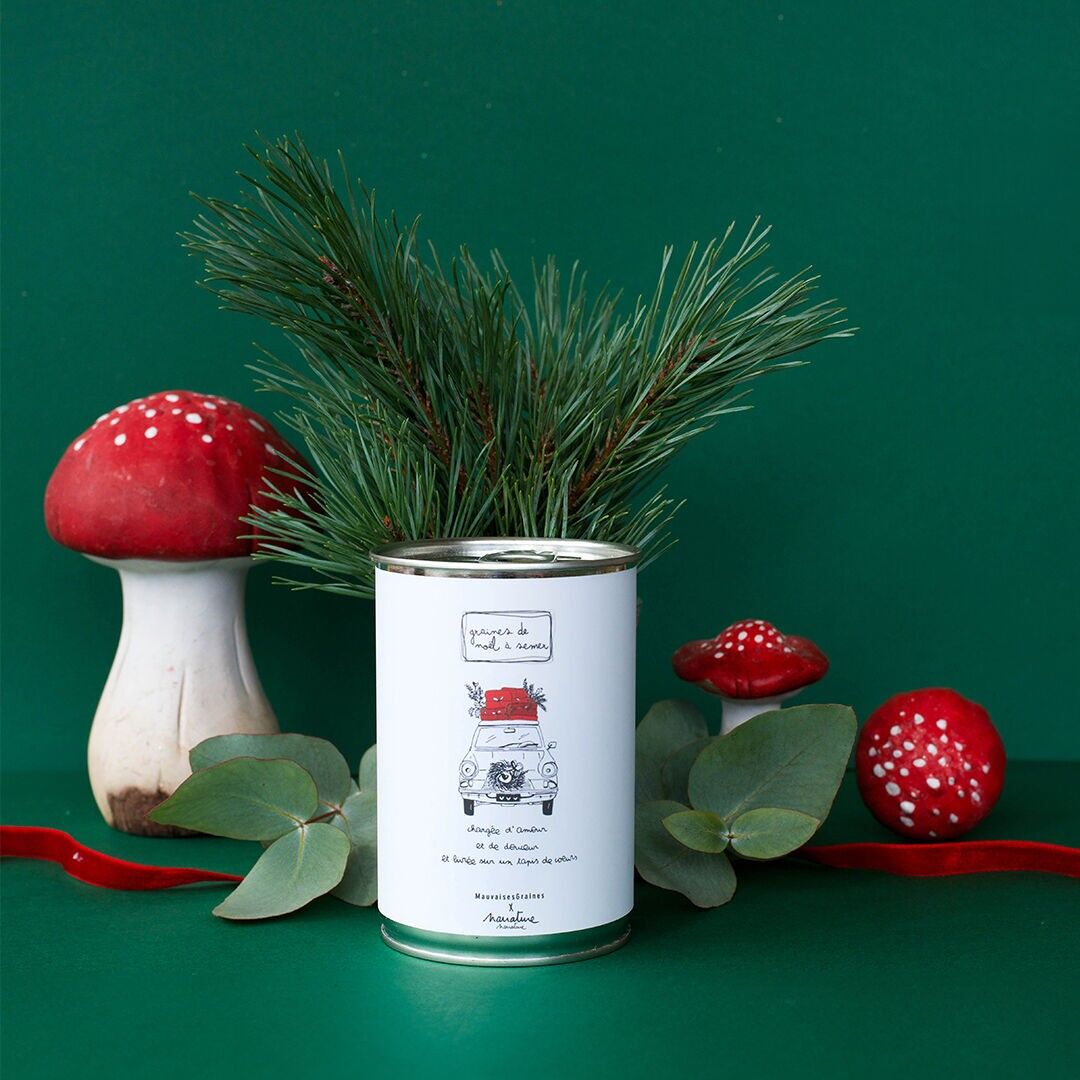 Sowing kit "A year full of love"