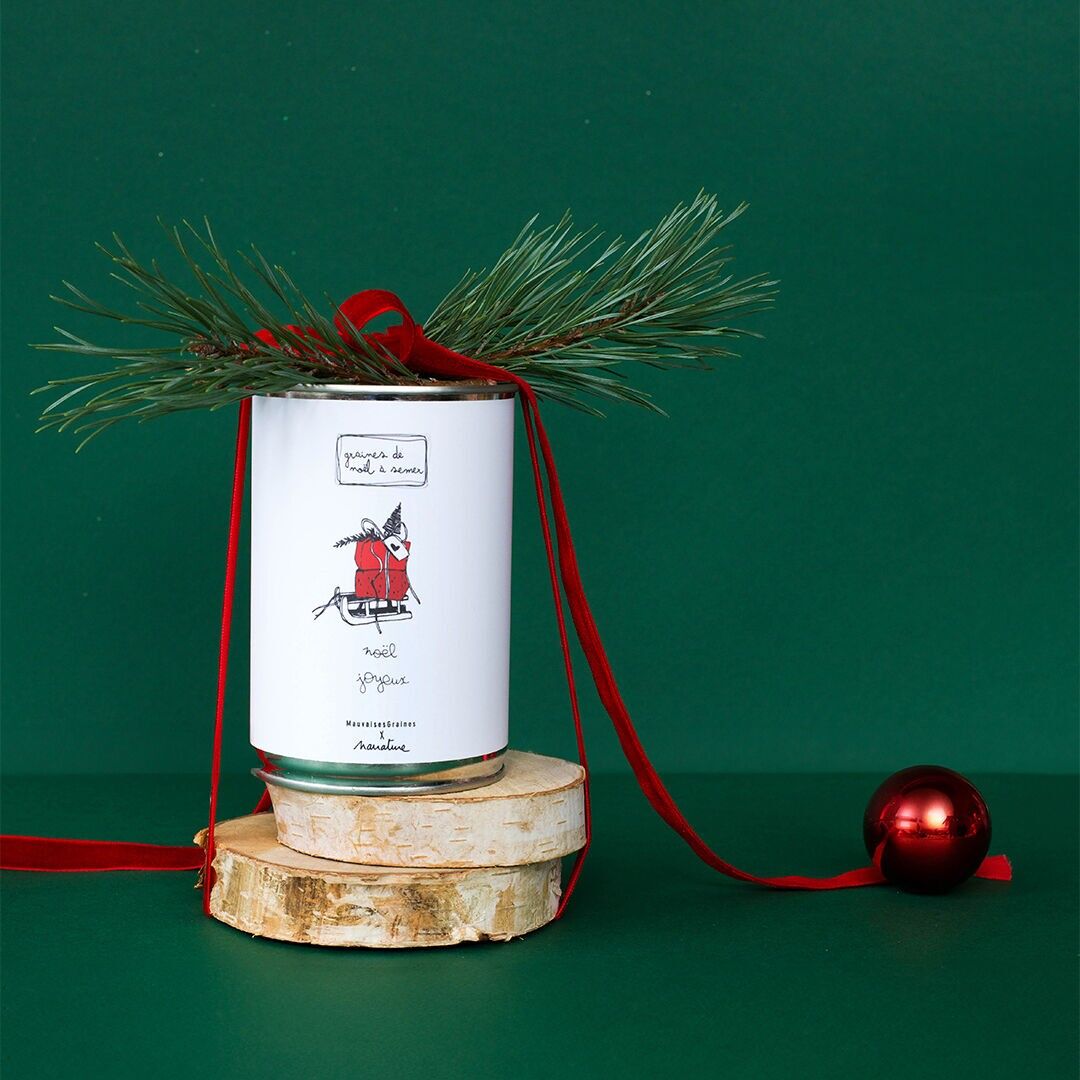 Sowing kit "Merry Christmas"