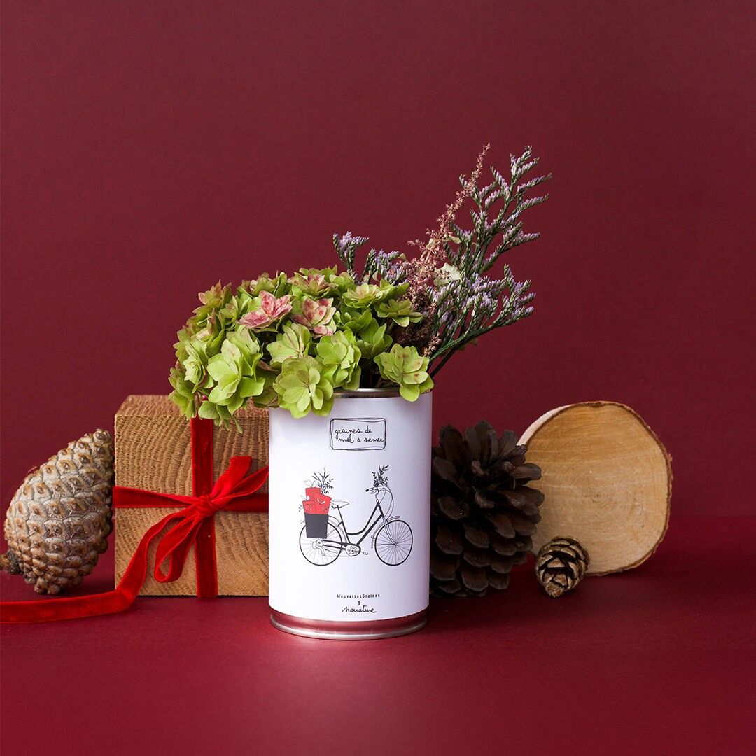 Sowing kit "Christmas bike"