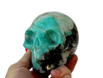 Crâne de cristal d'amazonite 9