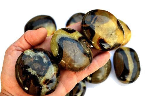 1 Kg Lot of Septarian Palm Stone (8-10 Pcs) - (40mm-70mm)