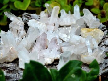Lot de 1 kg de spécimen de grappe de quartz en cristal brut (15-20 pièces) 2