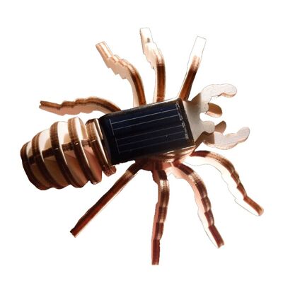 Animated Solar Spider Wooden 3D Puzzle