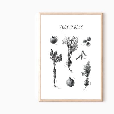 Küchenposter "Vegetables" botanische Illustration A4 oder A3 Geschenk zum Einzug Geschenk für Freundin zum Geburtstag Wohndeko