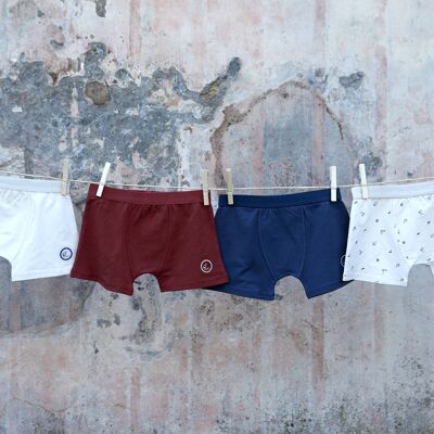 Boxer Louis Collection