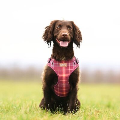 Check Her Out - Step-in Harness