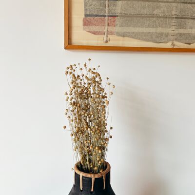 Linum Natural Dried Flowers