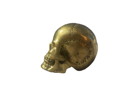 Golden brass skull for altar, divination, paper weight or home decoration