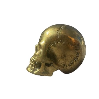 Crâne en laiton doré pour autel, divination, presse-papier ou décoration de la maison