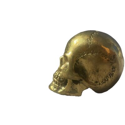 Crâne en laiton doré pour autel, divination, presse-papier ou décoration de la maison