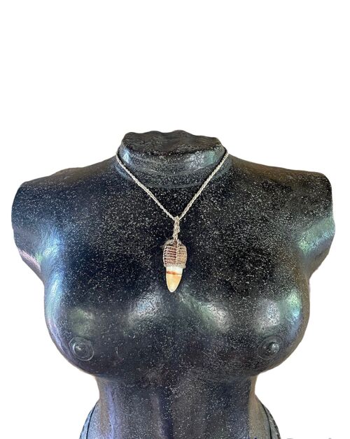 Shamanic Crocodile tooth necklace