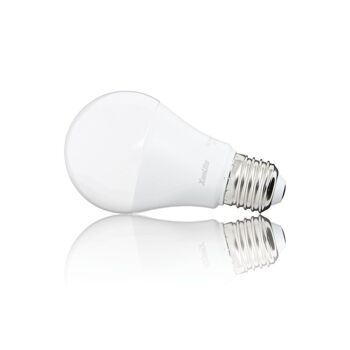 Ampoule LED A60, culot E27, 9W cons. (60W eq.), lumière blanc chaud 10