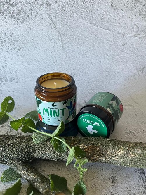 Ecological Candle Mint