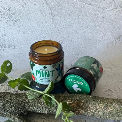 Ecological Candle Mint