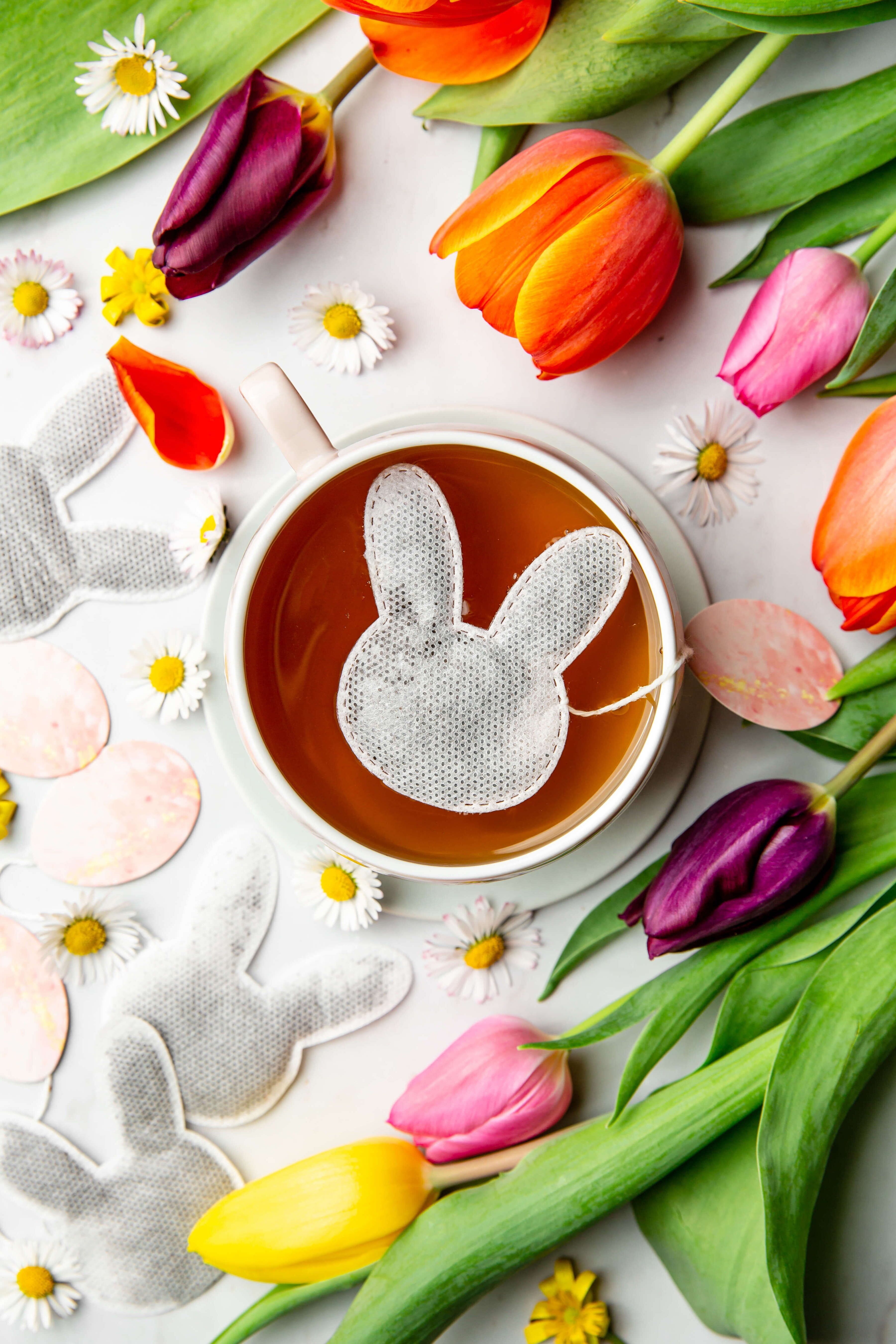 Bustina di tè coniglio speciale pasquale - rooibos cocco e mandorla