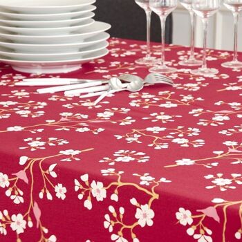 Nappe enduite Cerisier Bordeaux 15