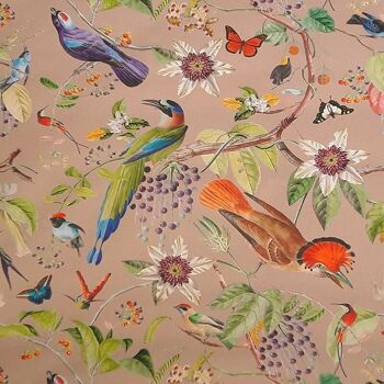 Nappe enduite Oiseaux taupe 7