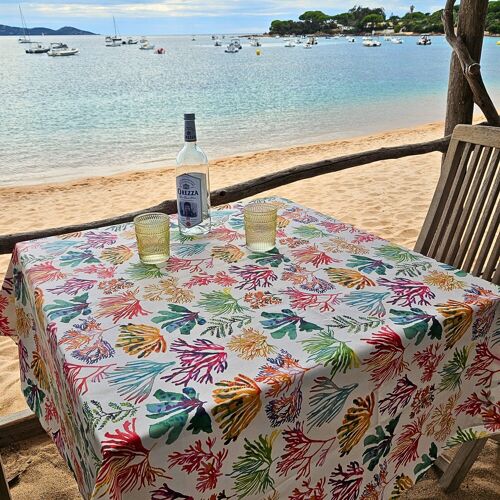 Nappe enduite Algues