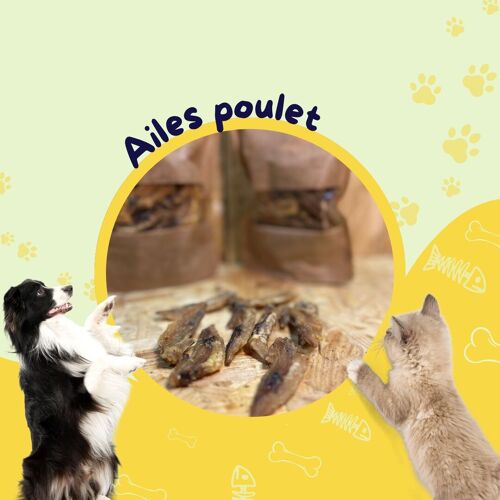 Ailes De Poulet (Sachet 1kg) / Friandise chien