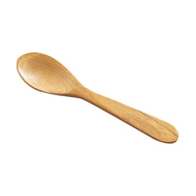 paella spoon