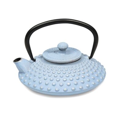 Teapot 0.5 L Iron E