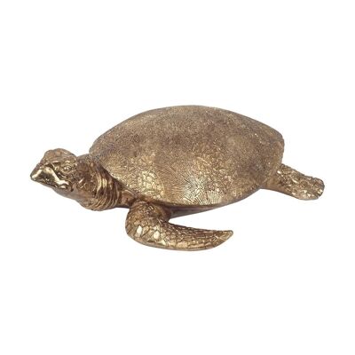 golden turtle