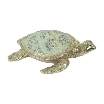 Tortue carapace à motifs