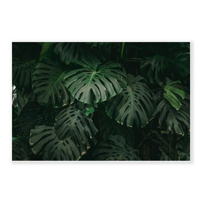 A Garden Of Leaves Art Print 50x70cm
