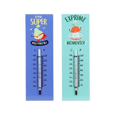 Thermometer 2 verschiedene 2U