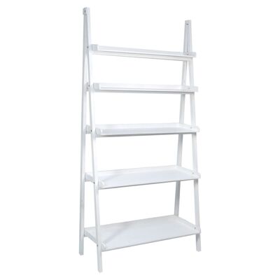 Ladder Bookshelf