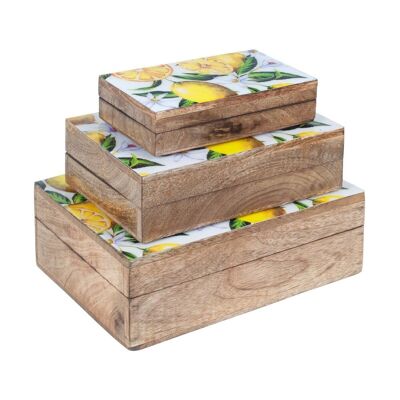 Set 3 Cajas Limones